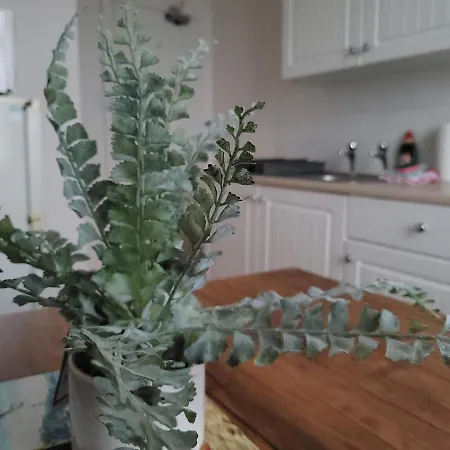 Lägenhet Sea View Flat 4 Fast Wifi & Free Parking Scarborough